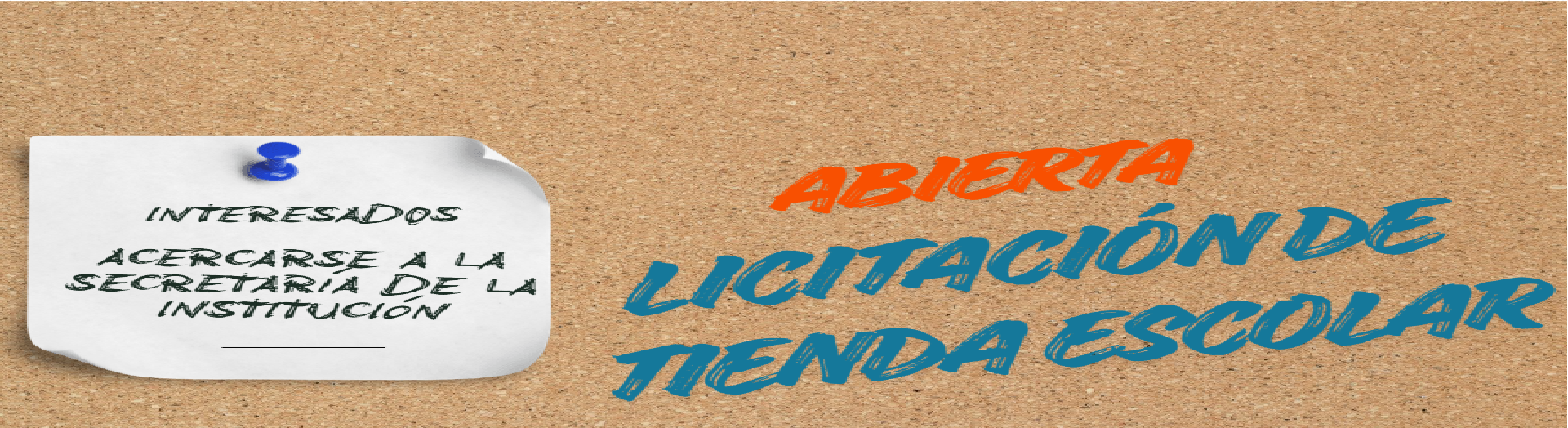 Licitación tienda paint